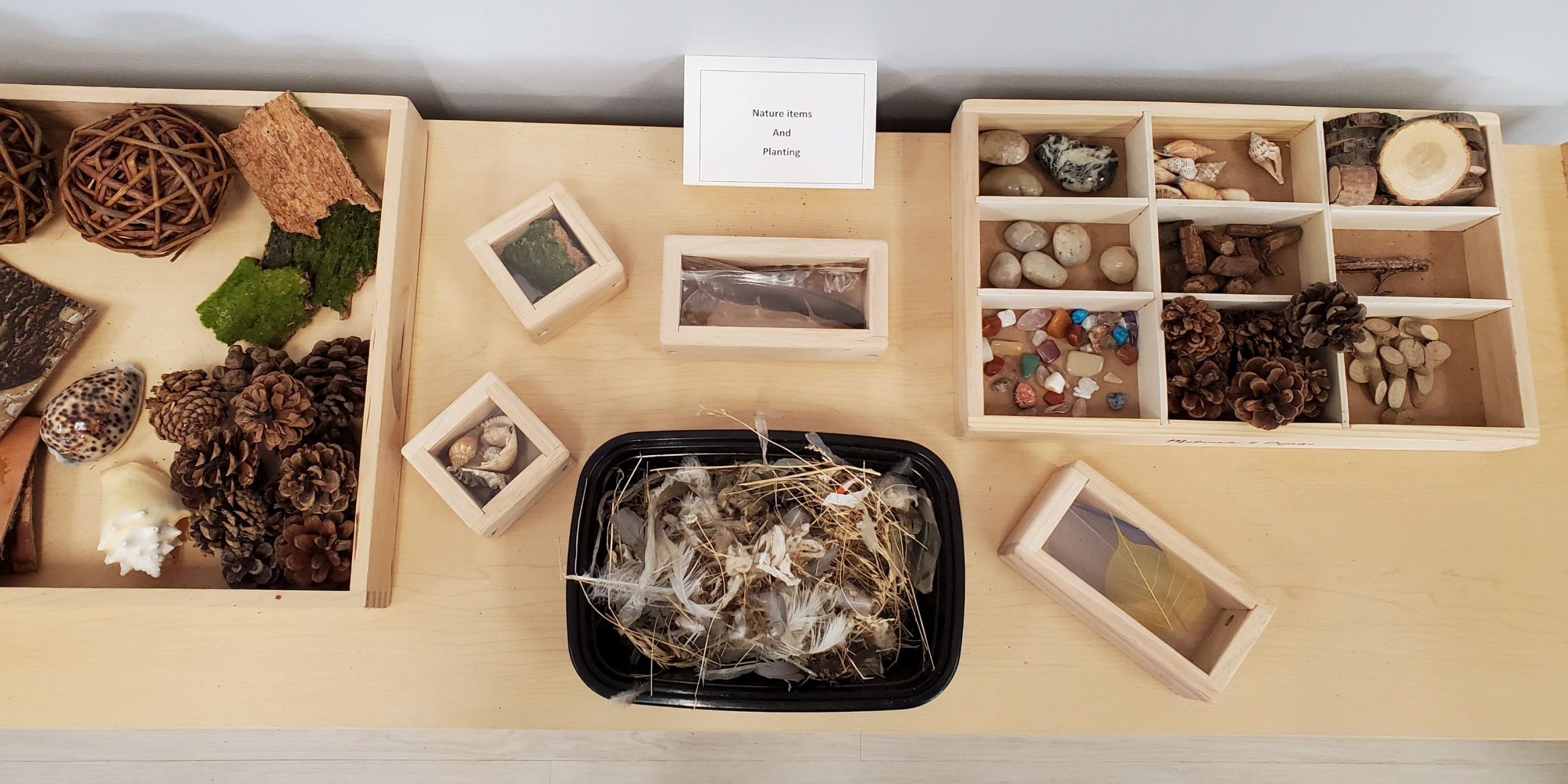 Learning Minds While in Our Care